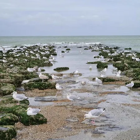 Stunning Sea View Lejlighed *