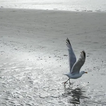 Stunning Sea View アパート *